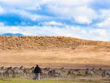 La grande Migration, moment d'exception